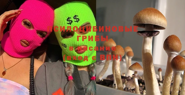 тгк Козловка