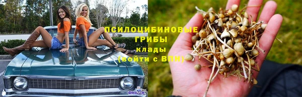 Альфа ПВП Кодинск