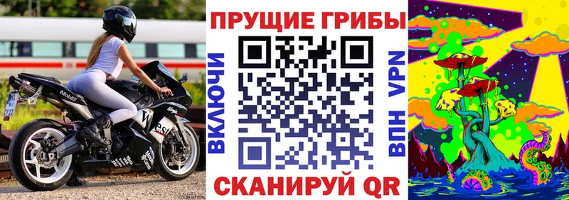 Псилоцибиновые грибы MAGIC MUSHROOMS  купить наркоту  Кисловодск 